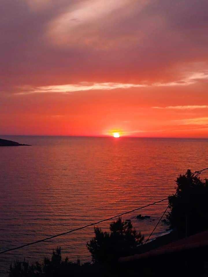 Kalymnos Platy Gialos Mousellis Makis Apartments Panormos  Dış mekan fotoğraf